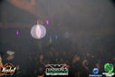 DSC02466.jpg