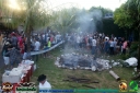 DSC09736.jpg