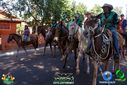 DSC03337.jpg