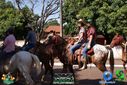 DSC03372.jpg