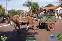 DSC03378.jpg