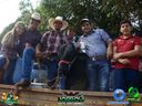 DSC09137.jpg
