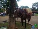 DSC05527.jpg
