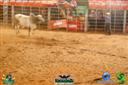 DSC04125.JPG