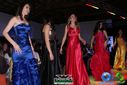 DSC07071.jpg
