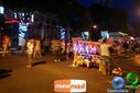 DSC03627.jpg