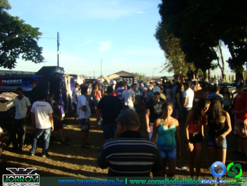 DSC02207.jpg