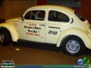 DSC02211.jpg