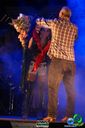 DSC03084.jpg