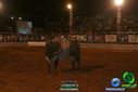 DSC00130.jpg