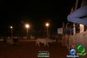 DSC00134.jpg
