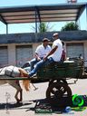 20-10-2013_cavalgada_urai_047.jpg