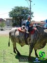 20-10-2013_cavalgada_urai_135.jpg