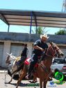 20-10-2013_cavalgada_urai_165.jpg