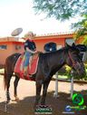 20-10-2013_cavalgada_urai_229.jpg