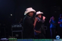 DSC02390.jpg