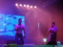 DSC09528.jpg