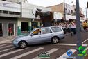 DSC03073.jpg