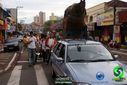 DSC03270.jpg