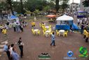 DSC03296.jpg