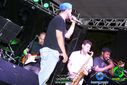 DSC03805.jpg