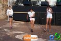 DSC01649.jpg