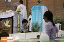 IMG_4375.jpg