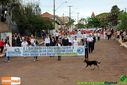 Filename=IMG_9274.jpg
Filesize=143KiB
Dimensions=790x527
Date added=Sep 09, 2014 IMG_9274.jpg