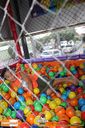 IMG_0033.jpg