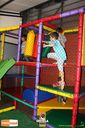 IMG_0781.jpg