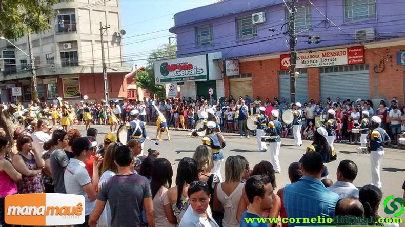 139.jpg