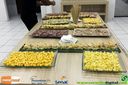 Filename=IMG_0089.jpg
Filesize=118KiB
Dimensions=790x526
Date added=Aug 19, 2014 IMG_0089.jpg