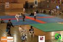 IMG_2290.jpg