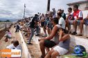 DSC03186.jpg
