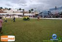 DSC03341.jpg