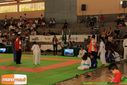 IMG_2232.jpg