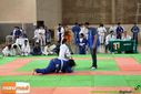IMG_2276.jpg