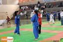 IMG_2289.jpg