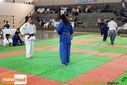 IMG_2315.jpg