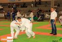 IMG_2363.jpg