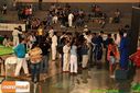 IMG_2370.jpg