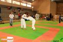 IMG_2376.jpg