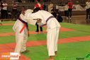 IMG_2380.jpg