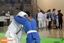 IMG_2385.jpg