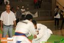 IMG_2390.jpg
