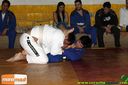 IMG_3559.jpg