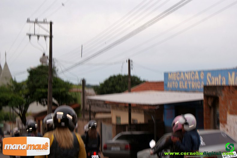 DSC03180.jpg