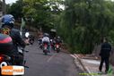 DSC03203.jpg
