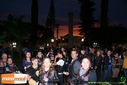 DSC03361.jpg