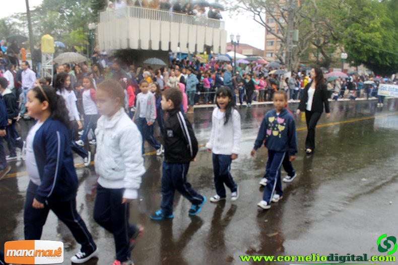IMG_1176.jpg